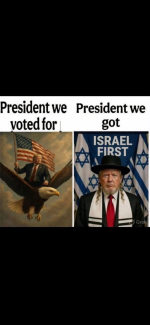 1793331106230.png
