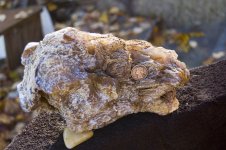 Agate 9.JPG