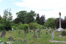 overgrown-cemetery.jpg