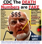 cdc22.jpg