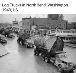log trucks.jpg