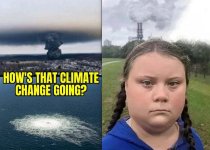 greta5.jpg