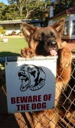 beware-of-the-dog.jpg