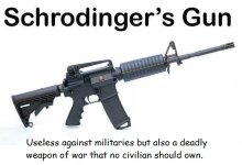 Schrodinger's Gun.jpg