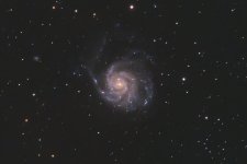 M101-2023-04-25-C1S.jpg
