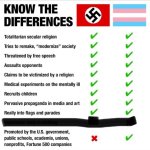 trans253.jpeg