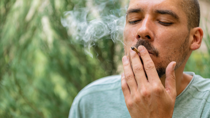 norml.org