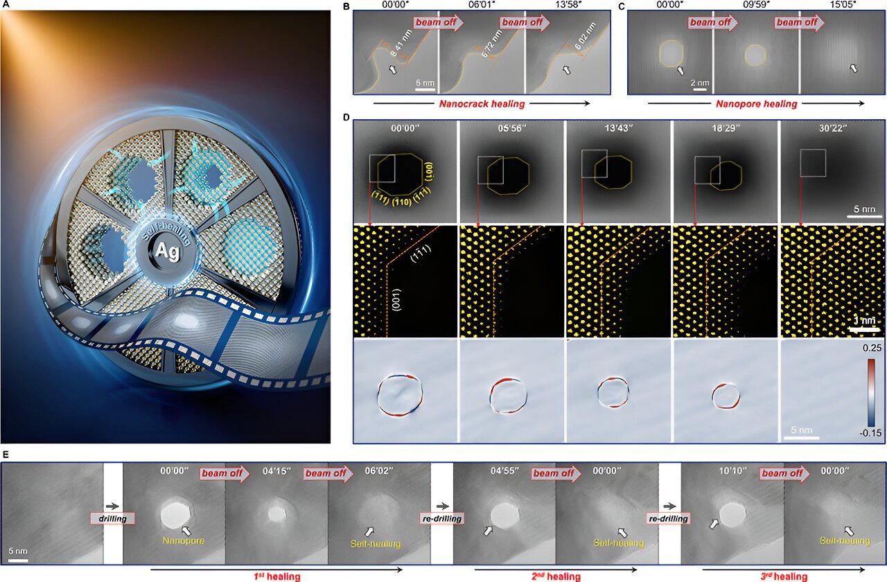 phys.org