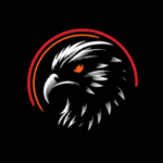 borderhawk.news