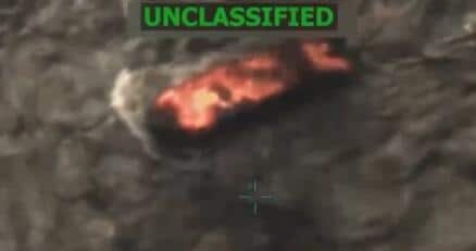 ronpaulinstitute.org