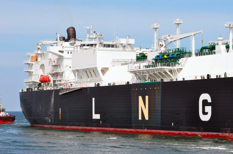 www.shippingherald.com