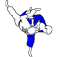 www.realjudo.net