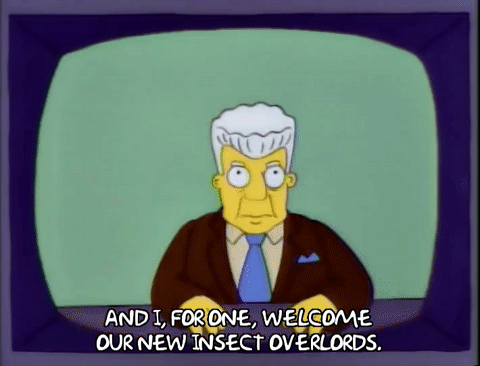 uploads1541530019576-giphy.gif