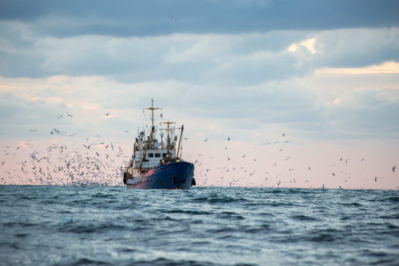 gcaptain.com