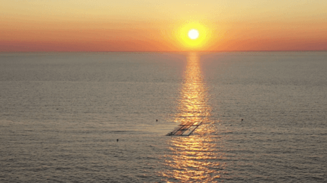 maritime-executive.com