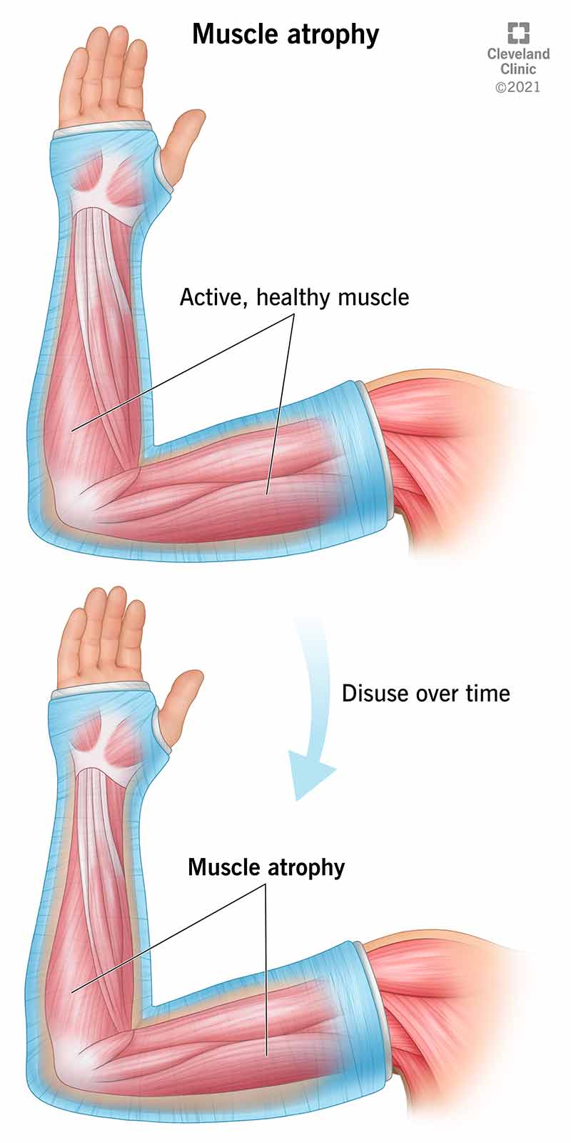 my.clevelandclinic.org