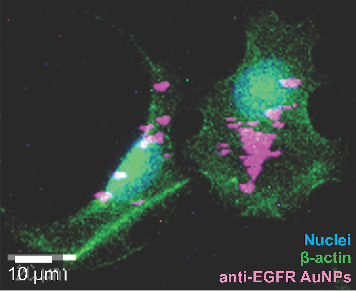 nanoscience.unibas.ch