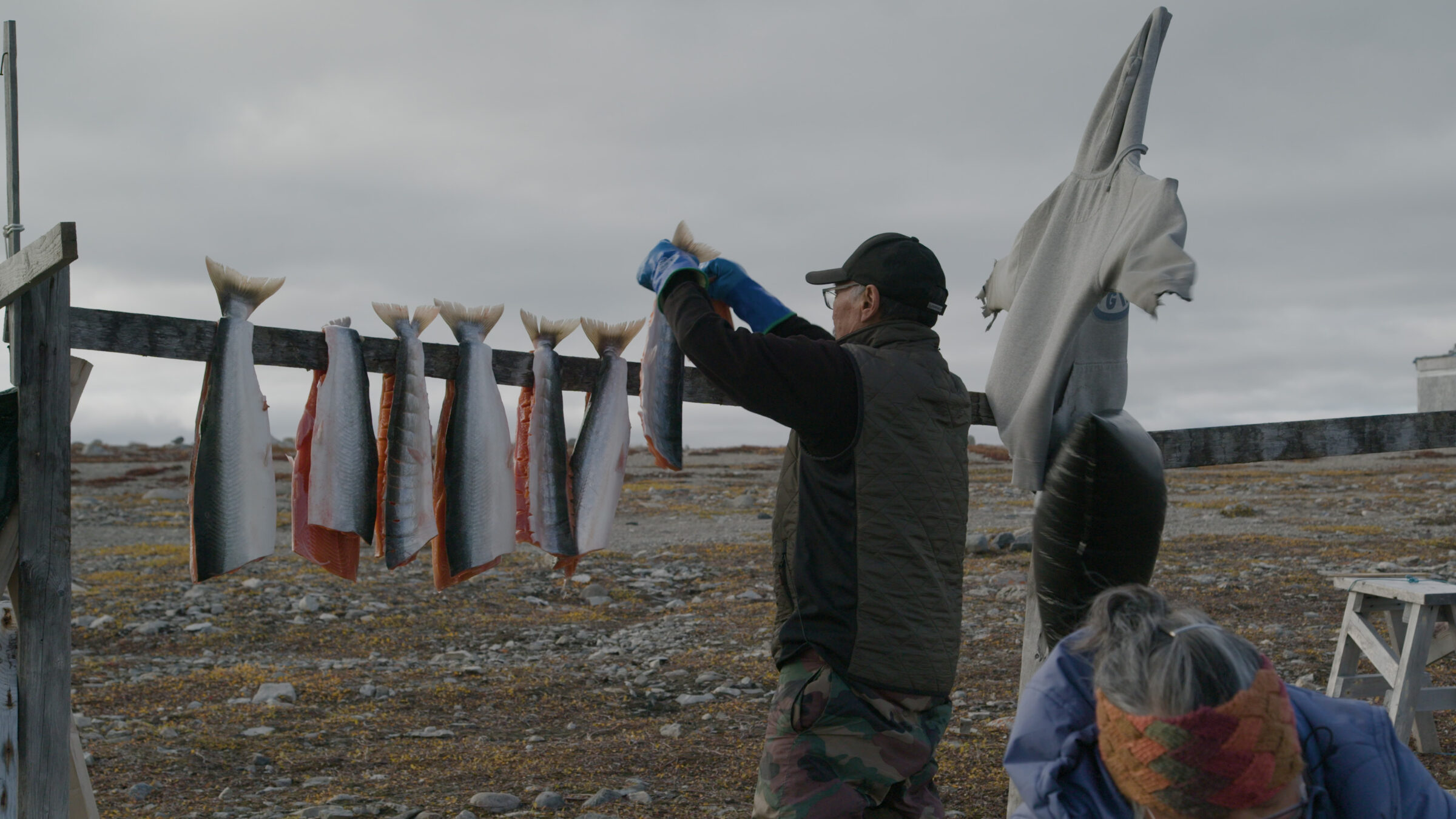 www.arctictoday.com