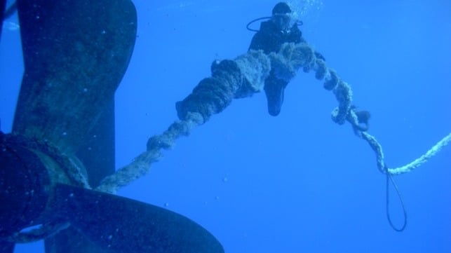 maritime-executive.com
