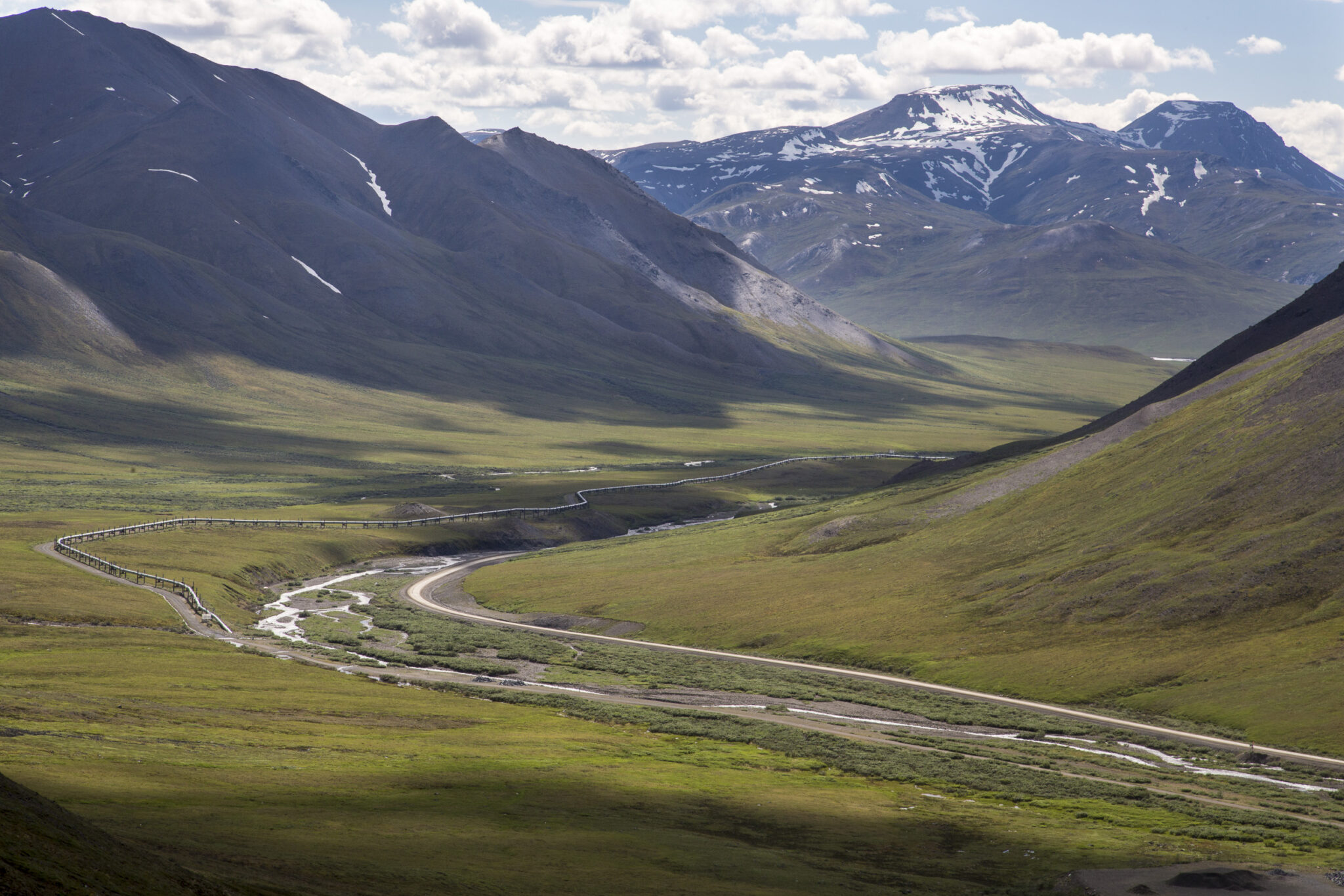 www.arctictoday.com