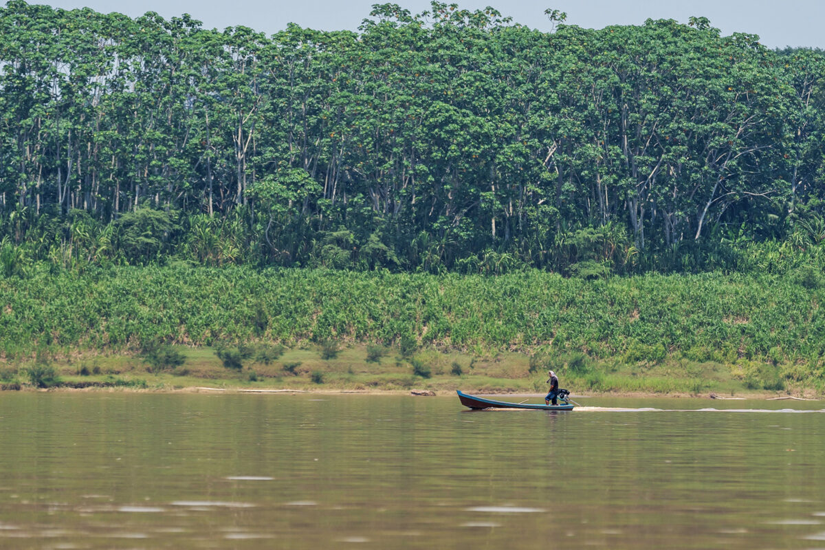 news.mongabay.com