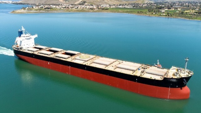 maritime-executive.com