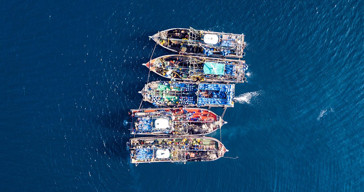 gcaptain.com