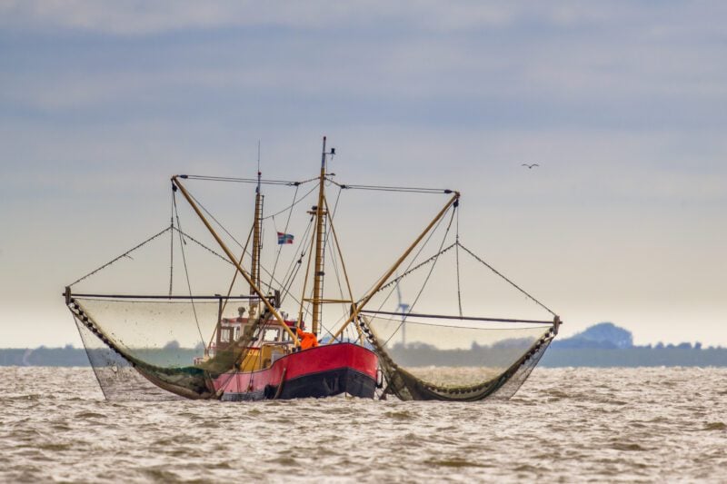 gcaptain.com