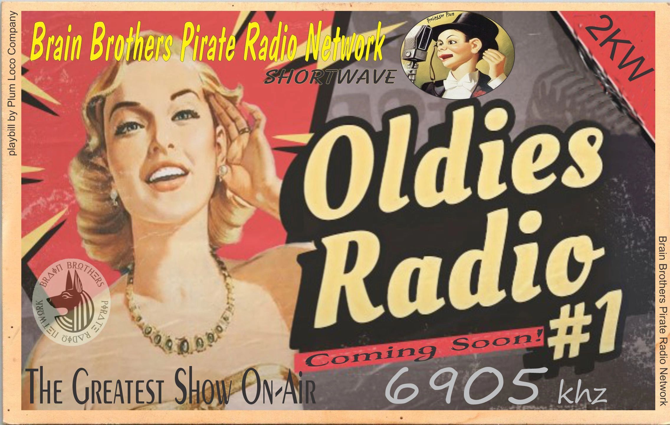 brainbrothersradio.com