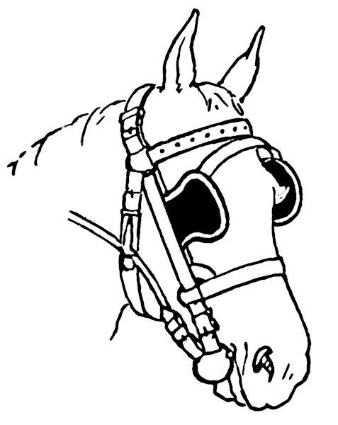 horse_with_blinders.png
