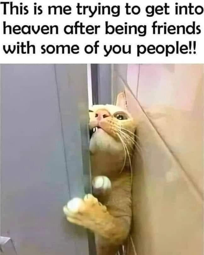 409992-This-Is-Me-Trying-To-Get-Into-Heaven-After-Being-Friends-With-Some-Of-You-People.jpg