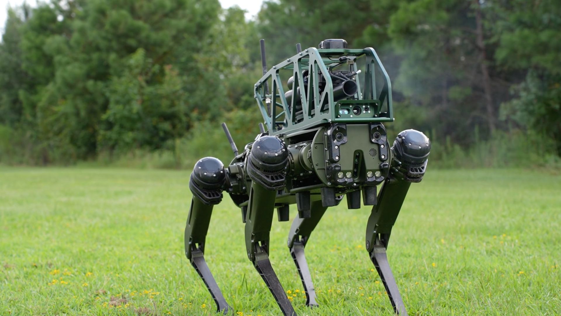 interestingengineering.com