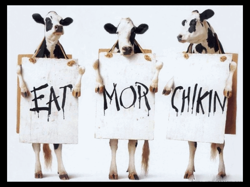 EatMoreChikinSaysTheCowsAnimatedByHeatherGill.gif