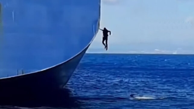 maritime-executive.com