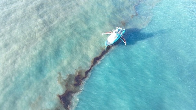 maritime-executive.com