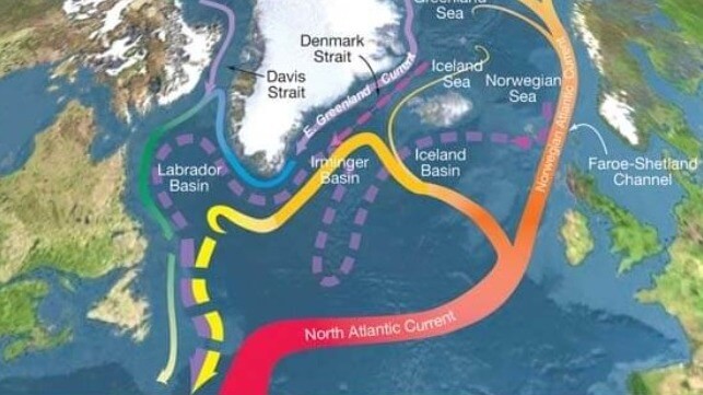 maritime-executive.com