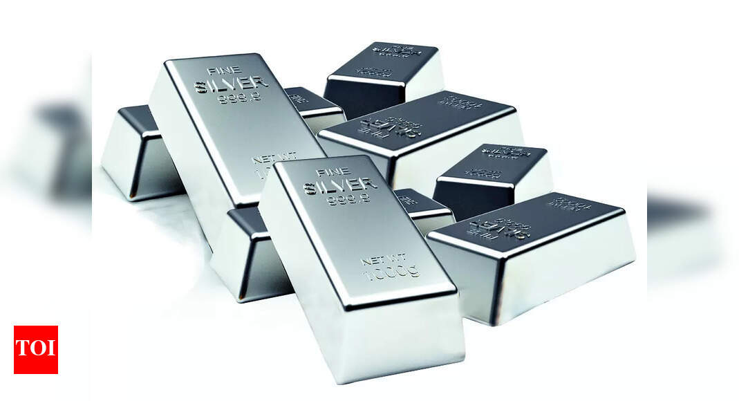 timesofindia.indiatimes.com