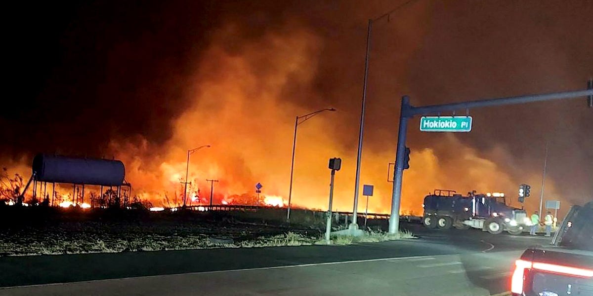 robertfkennedyjr.substack.com