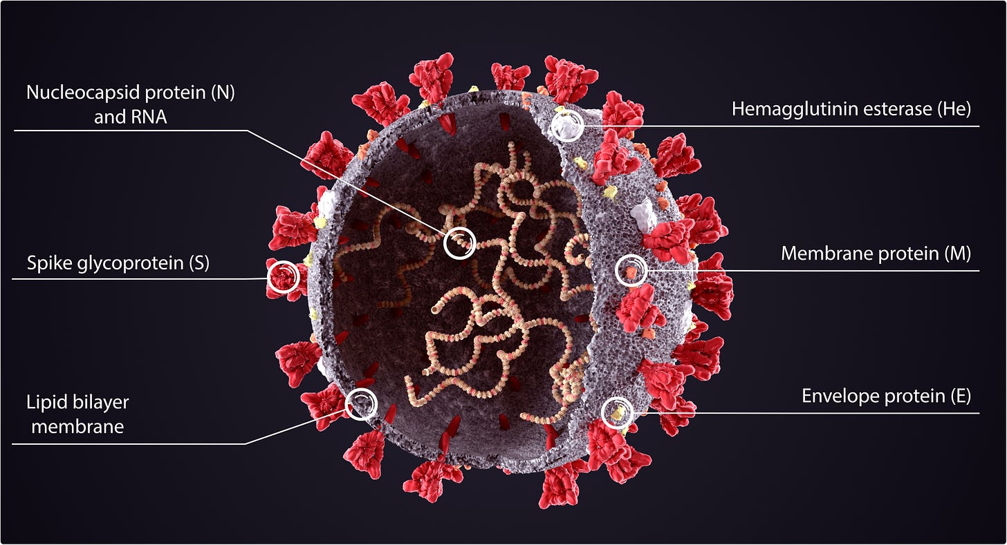 Study: Nucleocapsid antibody positivity as a marker of past SARS-CoV-2 infection in population serosurveillance studies: impact of variant, vaccination, and choice of assay cut-off. Image Credit: Orpheus FX / Shutterstock